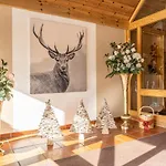 Gastein - Ganzjaehrig Inklusive Alpentherme Gastein & Sommersaison Inklusive Gasteiner Bergbahnen 3* バート・ホーフガシュタイン