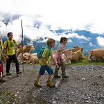 ホテル Gastein - Ganzjaehrig Inklusive Alpentherme Gastein & Sommersaison Inklusive Gasteiner Bergbahnen