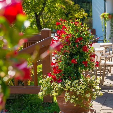 ホテル Gastein - Ganzjaehrig Inklusive Alpentherme Gastein & Sommersaison Inklusive Gasteiner Bergbahnen 3*